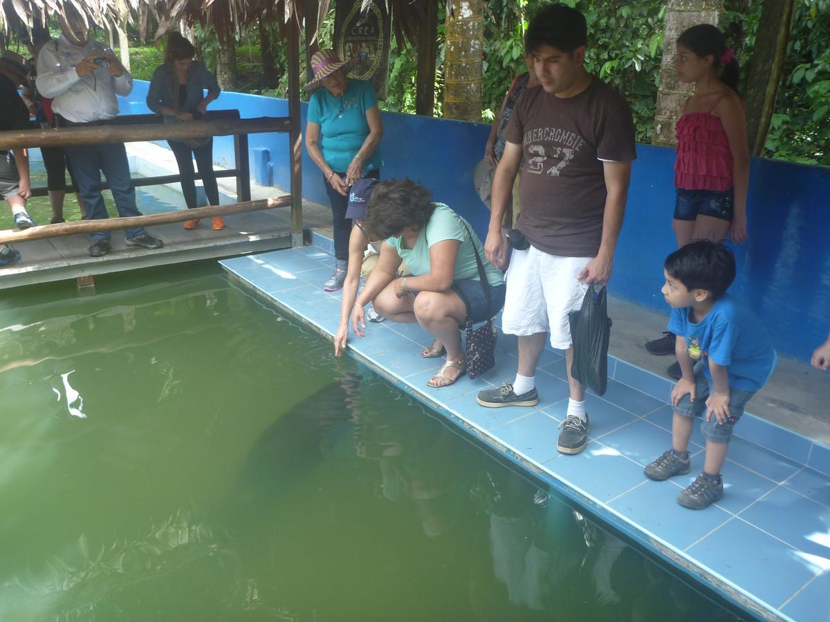 Hospedaje Las Amazonas Iquitos Buitenkant foto